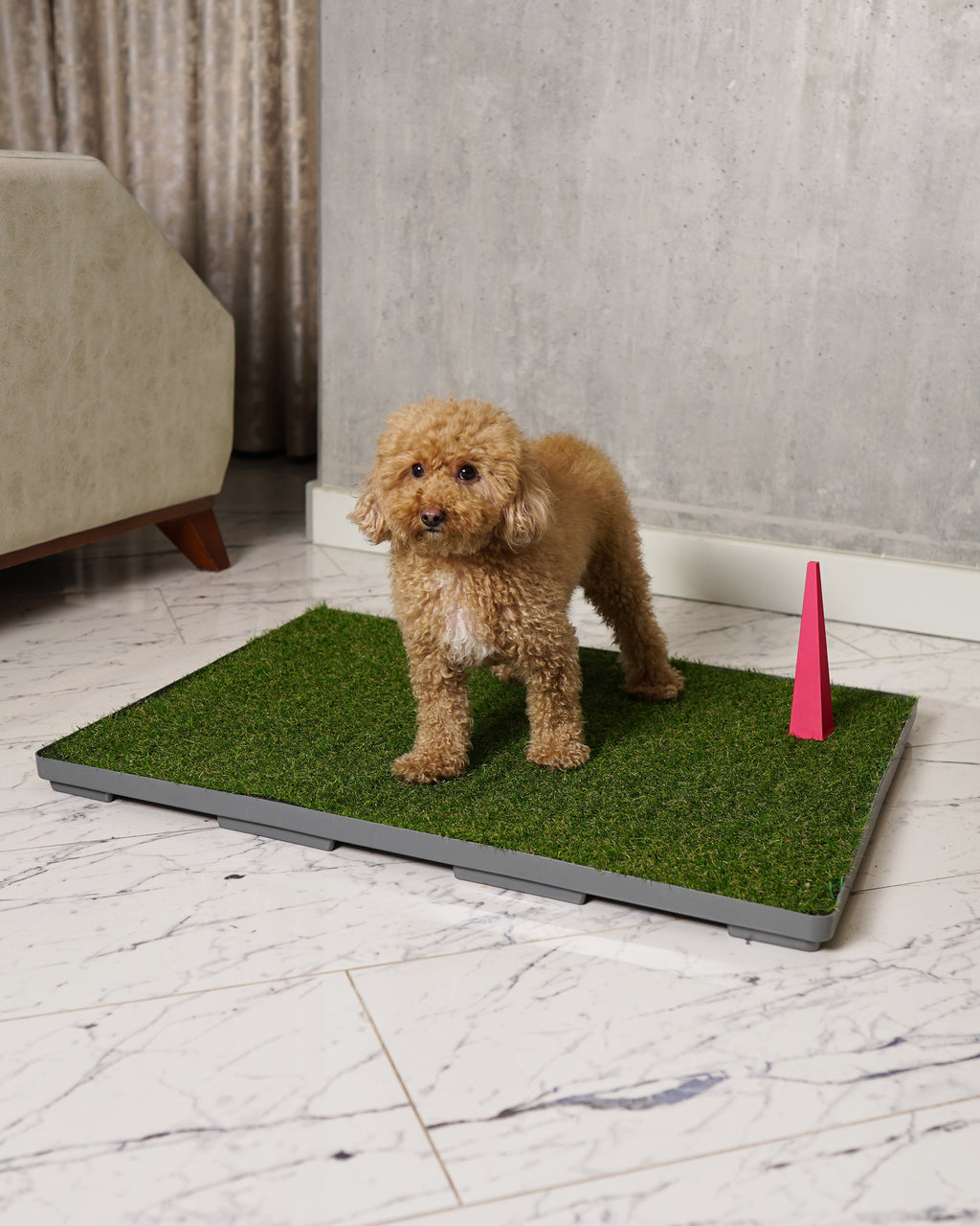 GreenPee Akıllı Çim Tuvalet Matı - GreenPee