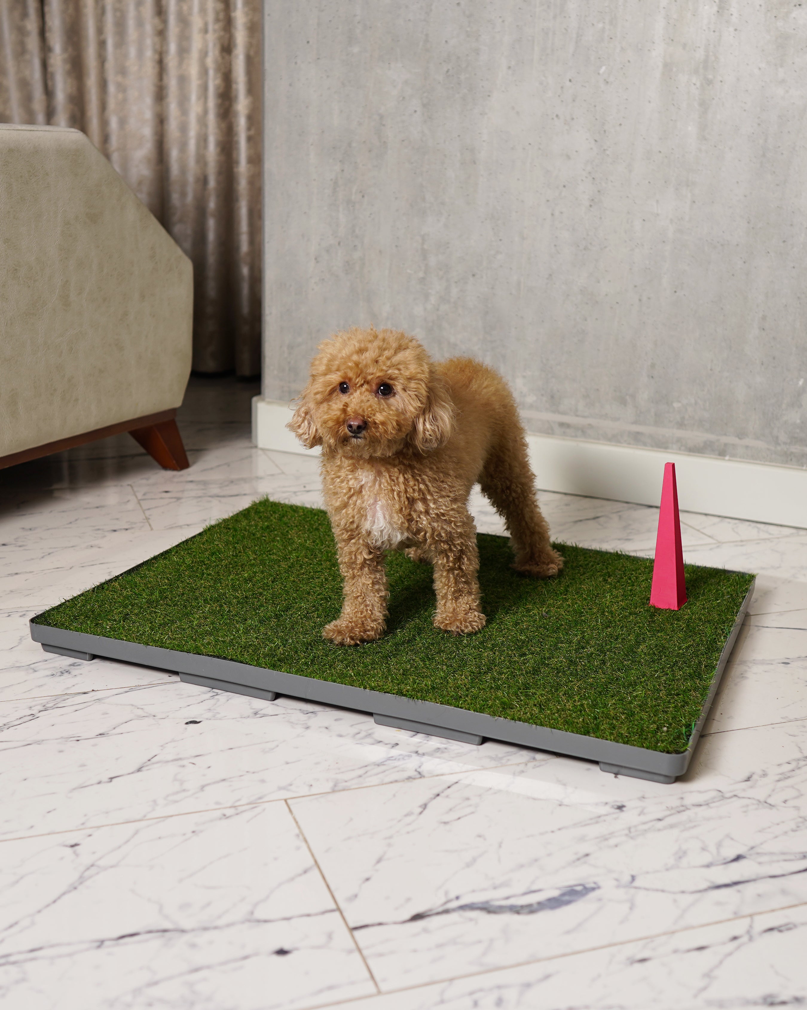 GreenPee Akıllı Çim Tuvalet Matı - GreenPee