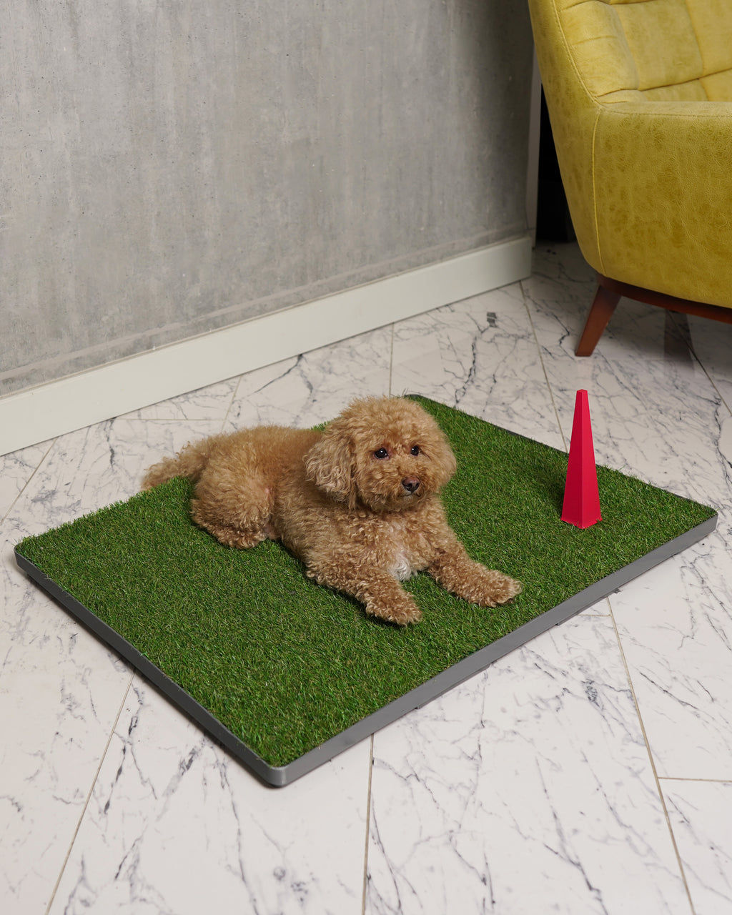 GreenPee Akıllı Çim Tuvalet Matı - GreenPee
