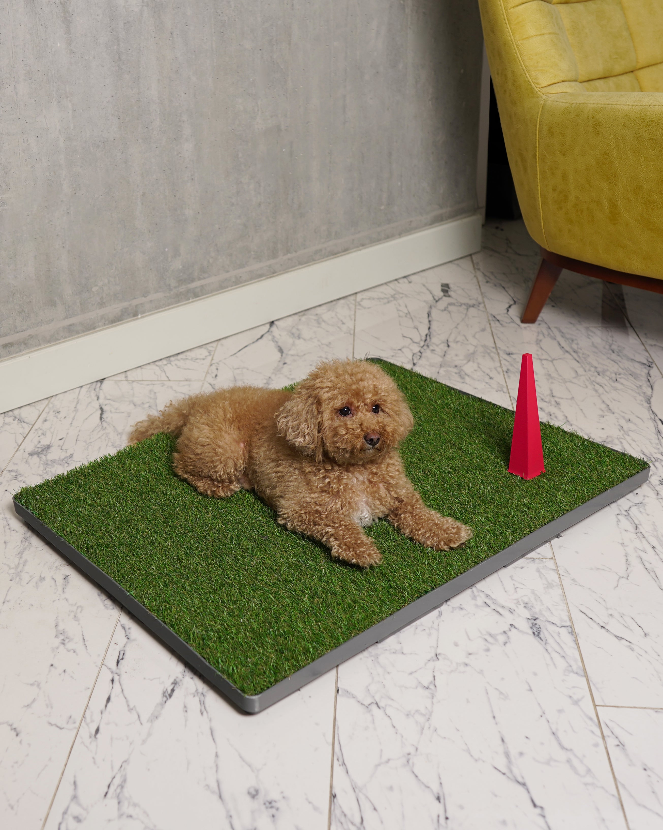 GreenPee Akıllı Çim Tuvalet Matı - GreenPee